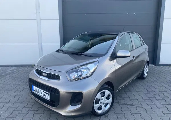 śląskie Kia Picanto cena 27950 przebieg: 130800, rok produkcji 2016 z Nowogrodziec